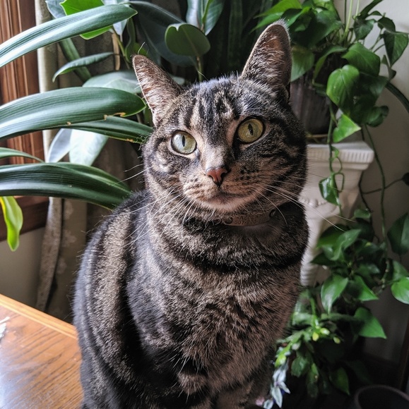 Meet your Posher, Jessica - Picture 3 of 13